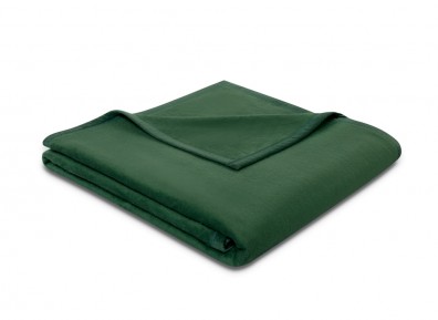 Biederlack Plaid Pure Cotton alge