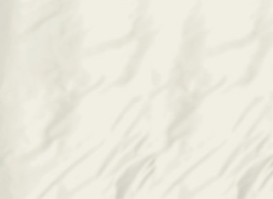 Schlossberg Bettlaken SATIN UNI Pure