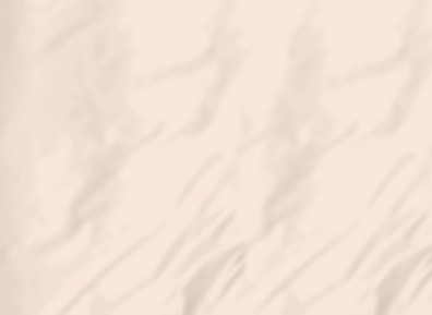 Schlossberg Bettlaken SATIN UNI Saumon